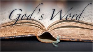 Download PDF E-books On God’s Word Free