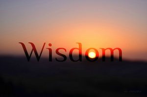 Download PDF Ebooks On Wisdom