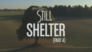Shelter Pt. 4 Lyrics Michael W. Smith