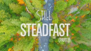 Steadfast Pt. 1 Lyrics Michael W. Smith