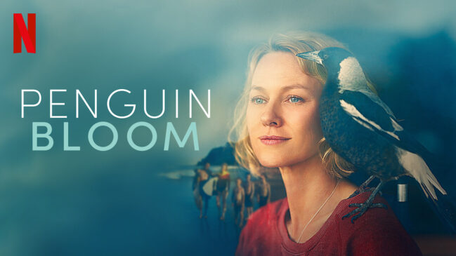 Penguin-Bloom-2021-649x365 7 Films That Teach Hope During Difficult Seasons of Life