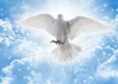 Books on Holy Ghost Baptism