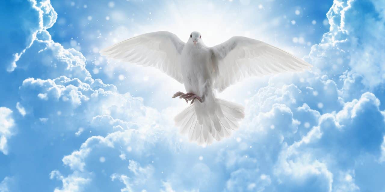 Books on Holy Ghost Baptism